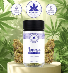 Amnesia CBD Flower Hempline - 12 grams