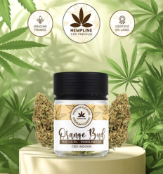 Orange Buds Fleur de CBD Hempline - 5 grammes