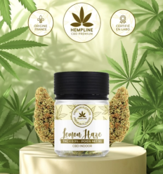Lemon Haze CBD Flower Hempline - 5 grams