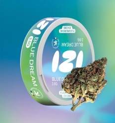 Blue Dream CBD Flower IZI - 2.5 grams