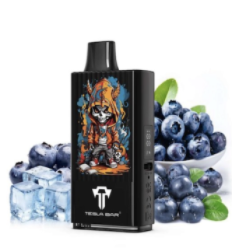 Puff Tesla Bar 10K