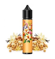 Vanille Absolue Artist - 50ml