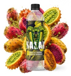Fruit du Serpent Figue de Barbarie Salak - 500ml