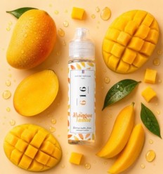 N°616 La Mangue Jaune Maître Vapotier - 50ml