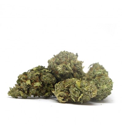 Sweet Kiwi Unicorn CBD