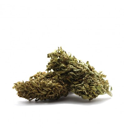 Ganesh Unicorn CBD