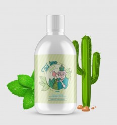 Mint Tea Time - 500ml