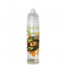 Kaido Ojo Vape Institut - 50ml
