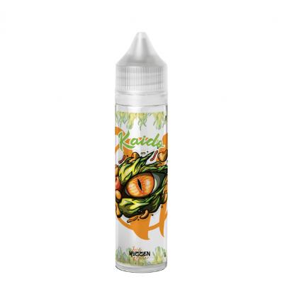 Kaido Ojo Vape Institut - 50ml