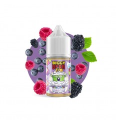 Fusion de Baies Sauvages Biggy Bear EVO Concentrate - 30ml